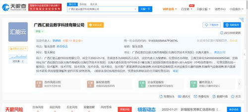 TCL跨界布局新能源，成立數字科技公司聚焦新興能源技術研發